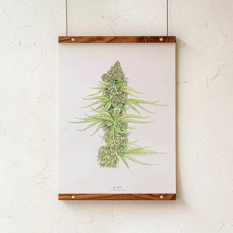 Cuaderno Goldleaf x Lightshade