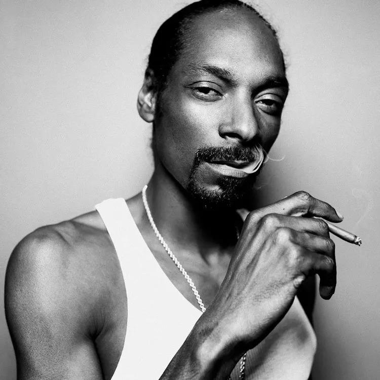 Hip-Hop: Dr. Dre y su albúm con el debut con Snoop Dogg son el clásico ejemplo de fusión cannábica.