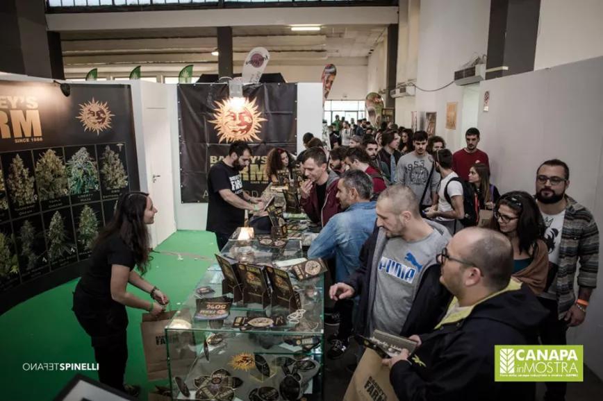 Canapa in Mostra