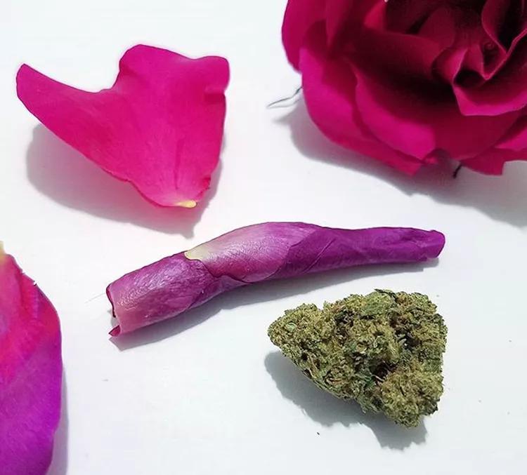 White Lavander