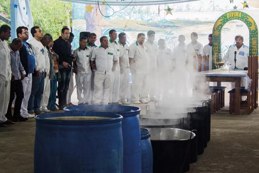 Ayahuasca