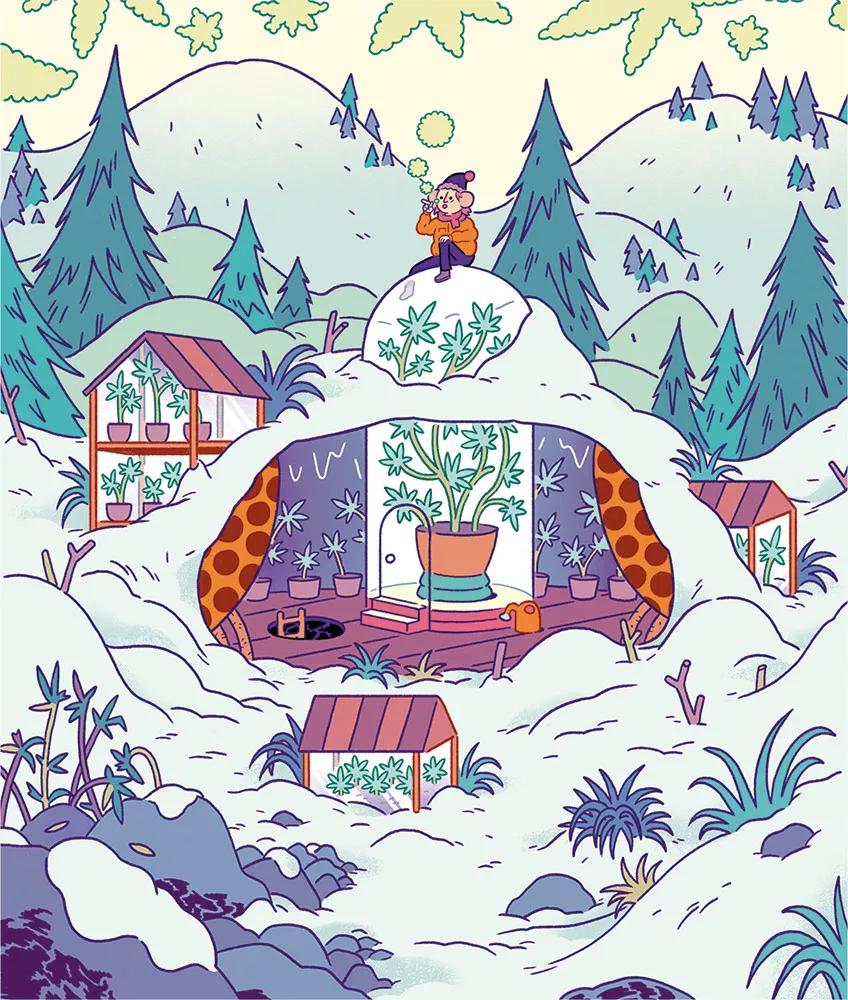 Cultivo en febrero