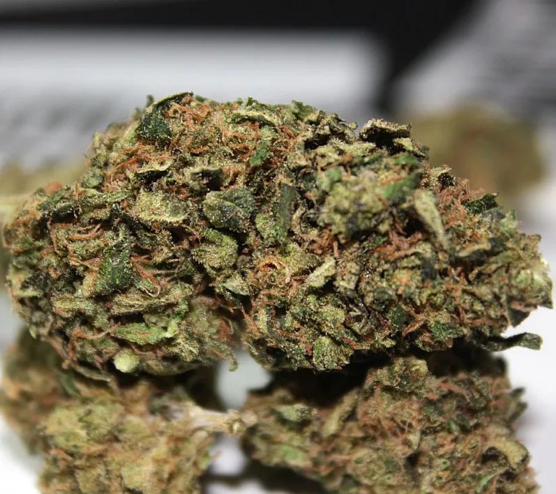 Aliens on Moonshine​​​​​​​:  De la lista es la más sabrosona. Regusto tropical que funciona mejor como concentrado que si se fuma uno directamente la planta. Recuerda a Tropicana Cookies.