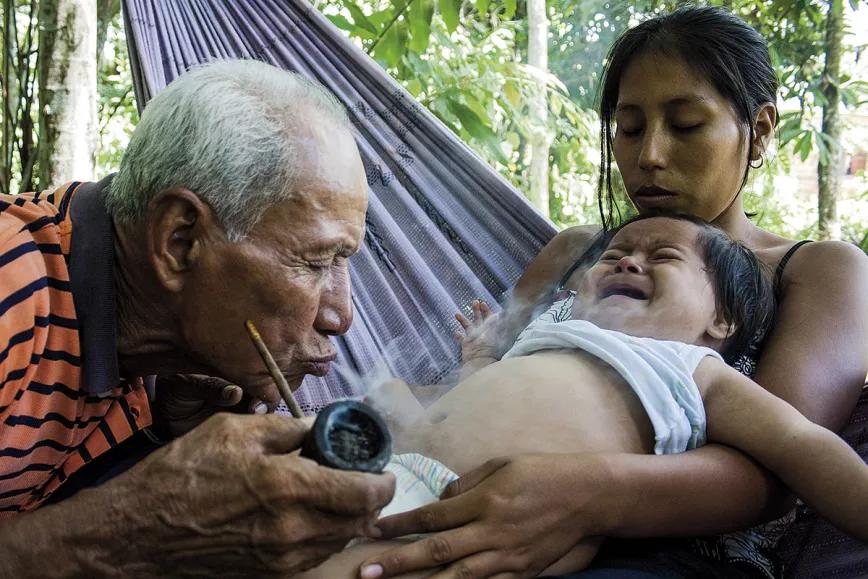 Ayahuasca