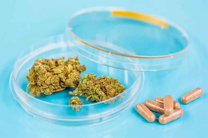CBD ayuda con la depresión y a dejar otras drogas, dice un informe