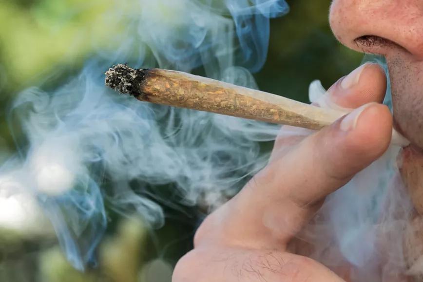Uso ocasional de cannabis puede complicar contagio por COVID-19
