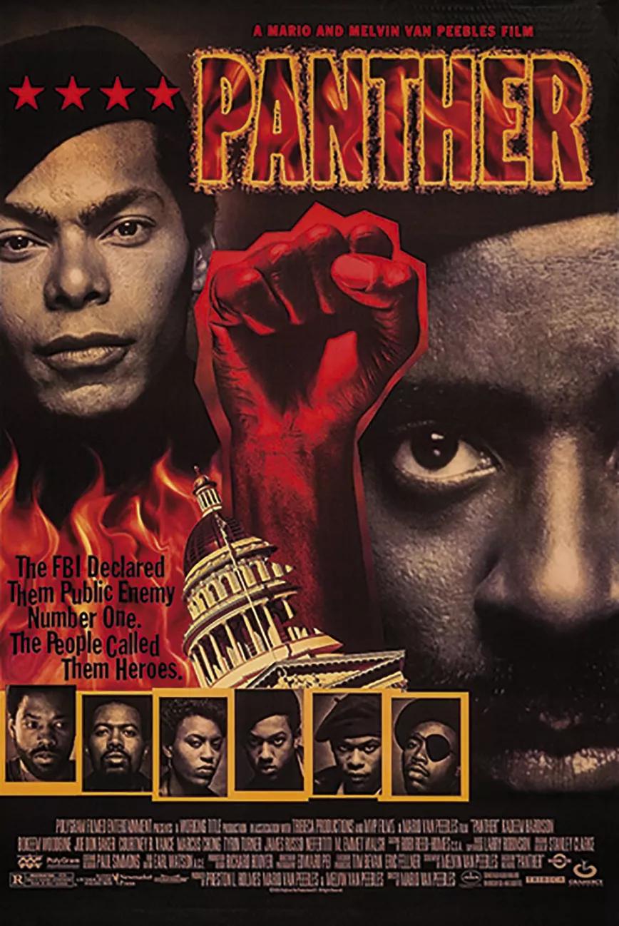 Cartel de la película Panther.