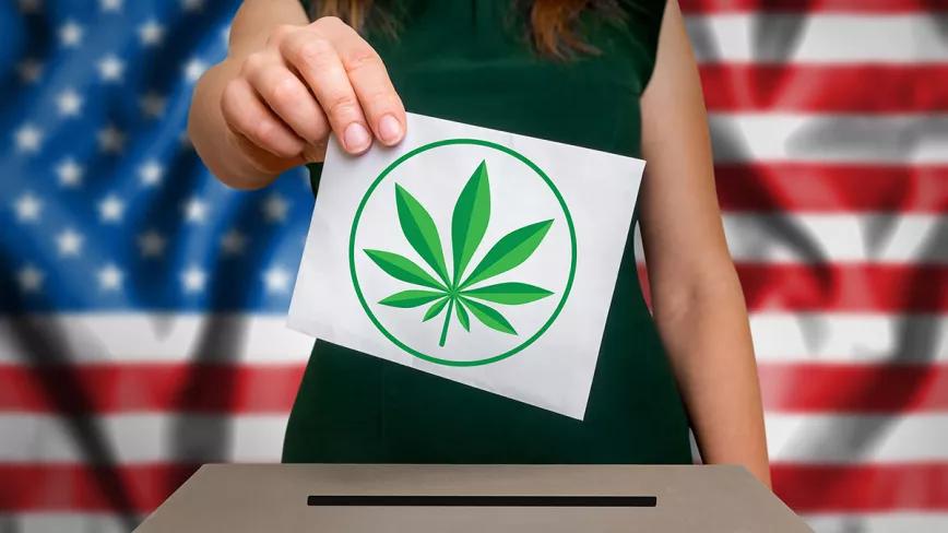 Activistas de Montana logran “colar” la legalización en las elecciones del 2020