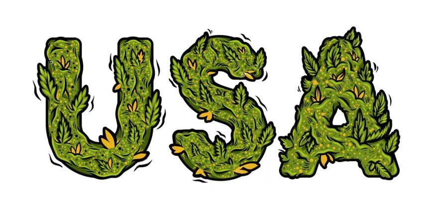 Continúa en aumento el uso de marihuana entre los adultos en los EE.UU
