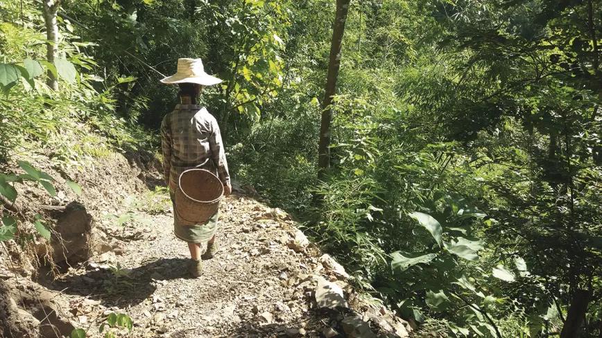 Ma Pang, Kayan