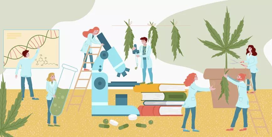 Cataluña y Comunidad Valenciana financia investigación con cannabis medicinal
