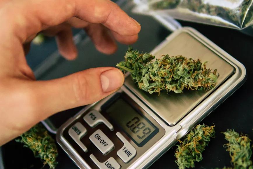 El octavo de marihuana, ¿Cuánto me llevo?