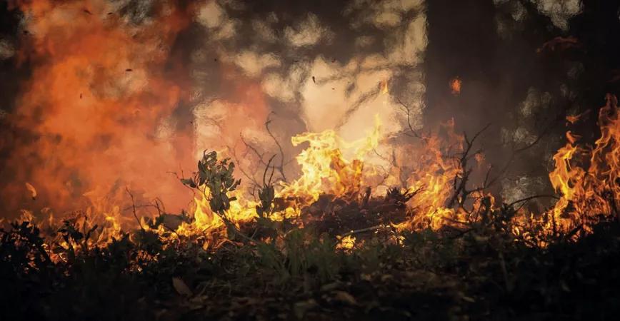 Incendio