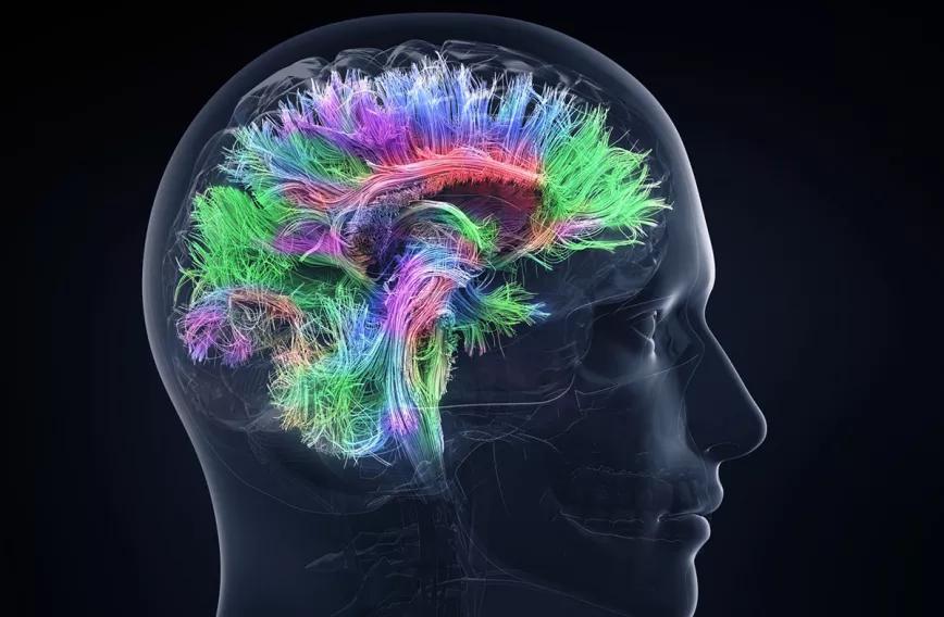 Psilocibina puede cambiar positivamente las emociones y las funciones cerebrales a largo plazo