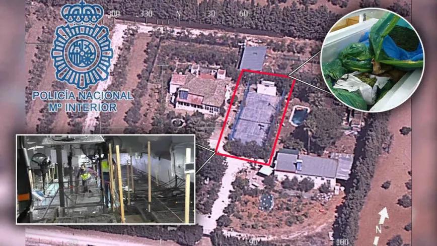 La Policía Nacional descubre un cultivo bajo unas pistas de tenis en una finca de Morón de la Frontera