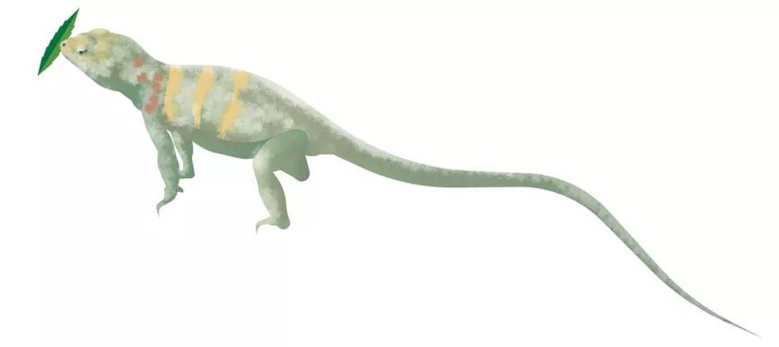 Ilustración: Lagarto