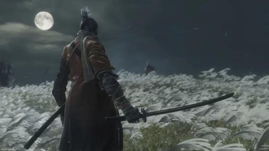 Sekiro: Shadows Die Twice