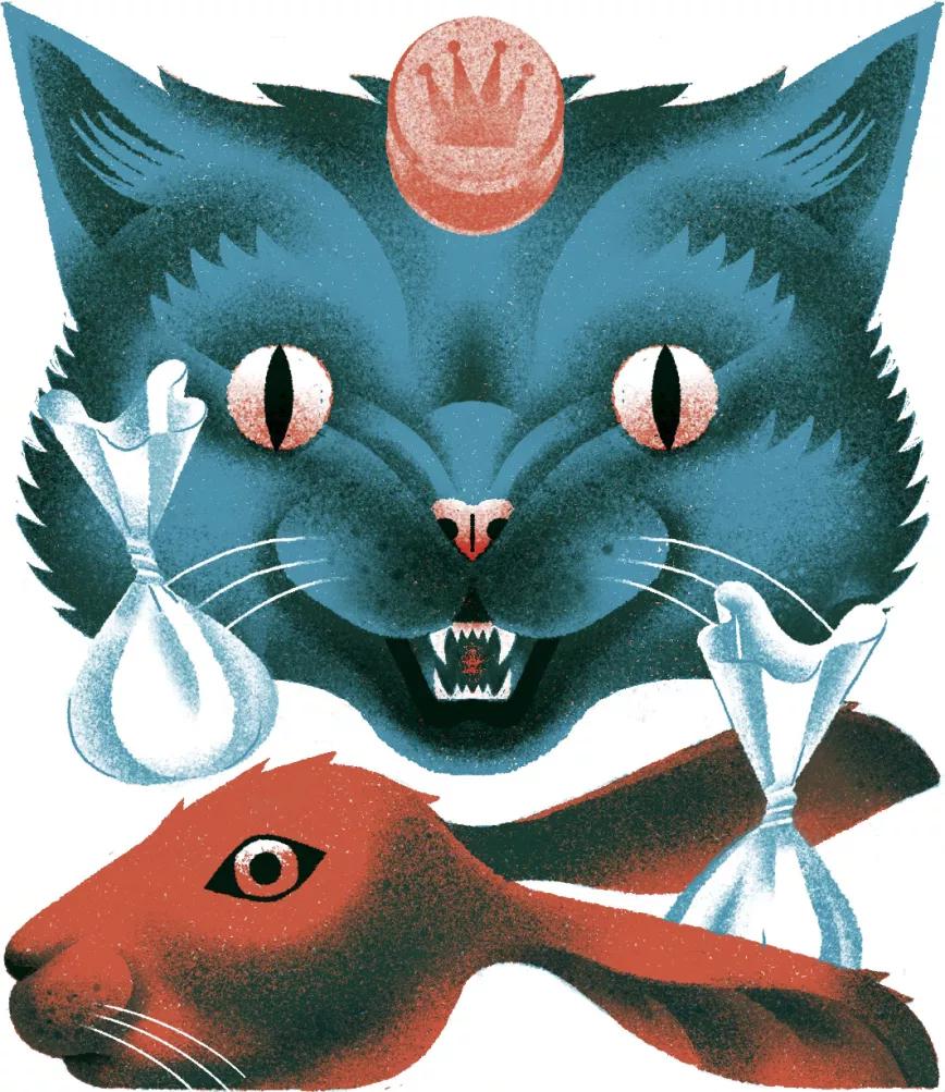 Gato por liebre 