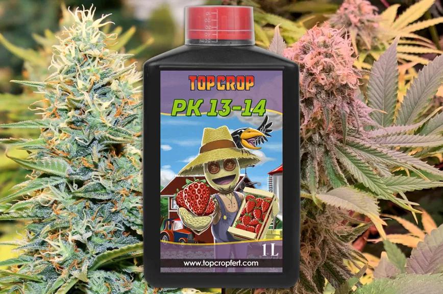 La solución mineral para estimular la floración