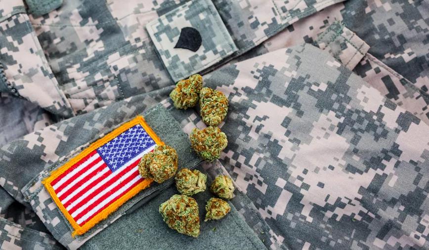 Organizaciones de Veteranos piden al Congreso de EE UU acceso al cannabis y los psicodélicos