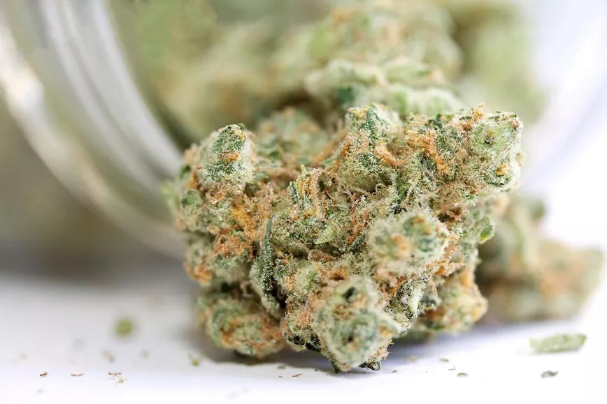 El Tribunal Federal de Justicia de Alemania dice que la venta de cogollos de CBD no es ilegal