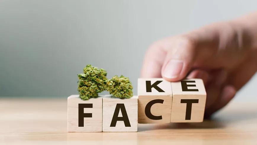 Un estudio rebate el mito de que los consumidores de cannabis son más sedentarios