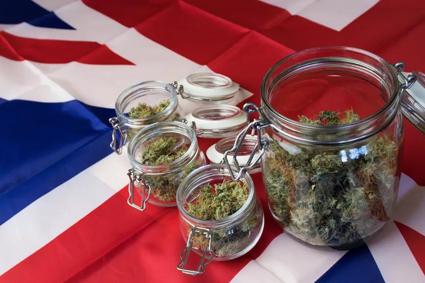 Un parlamentario birtánico presenta un proyecto para mejorar el acceso al cannabis medicinal