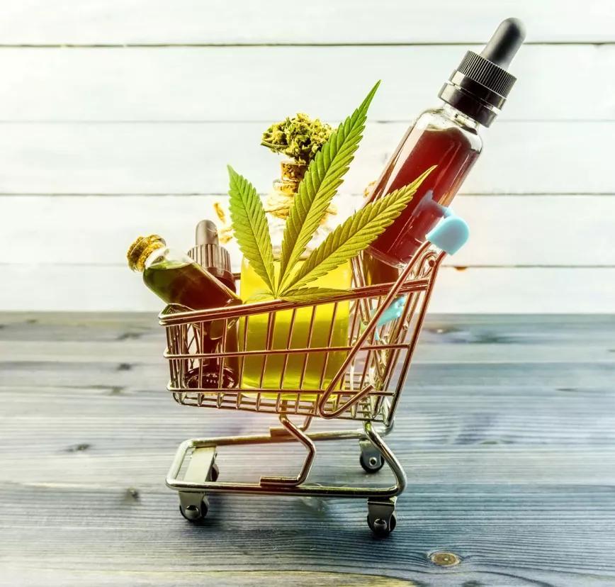 Uruguay estudia regular el uso de CBD en alimentos 