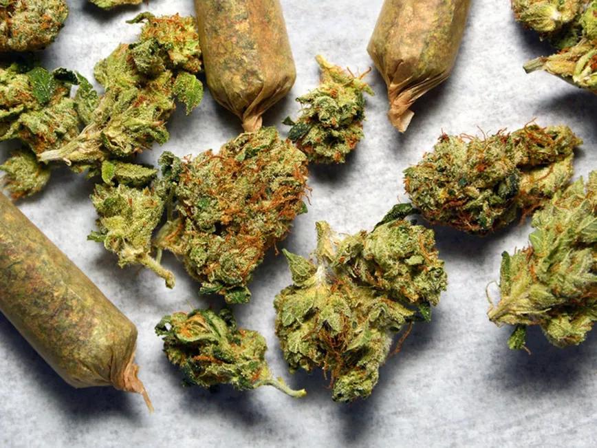 El 66% de los suizos apoya una regulación del uso adulto de cannabis