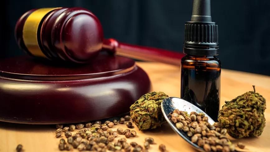 Grandes intervenciones del año y juicios contra el sector del cannabis en España