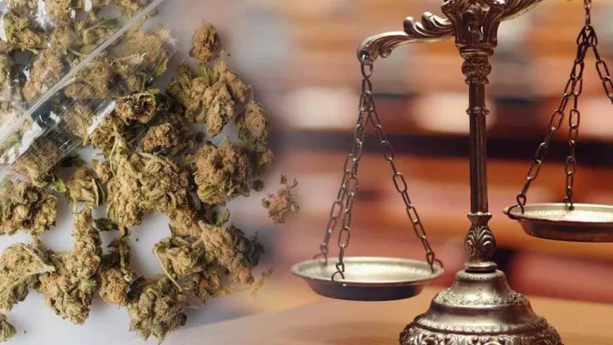 El Supremo absuelve a un club balear al que se le incautaron 81 kilos de cannabis