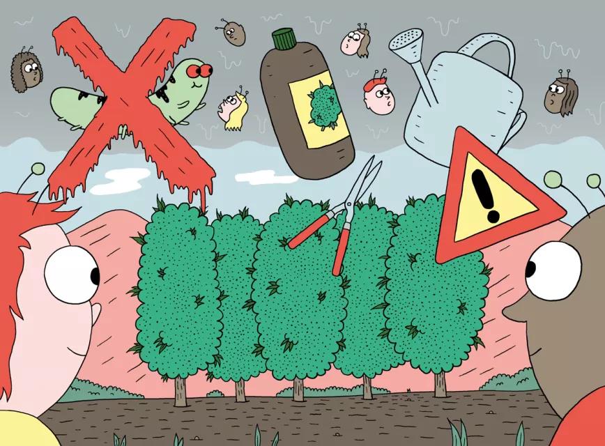 Diez errores clásicos: lo que no hay que hacer 