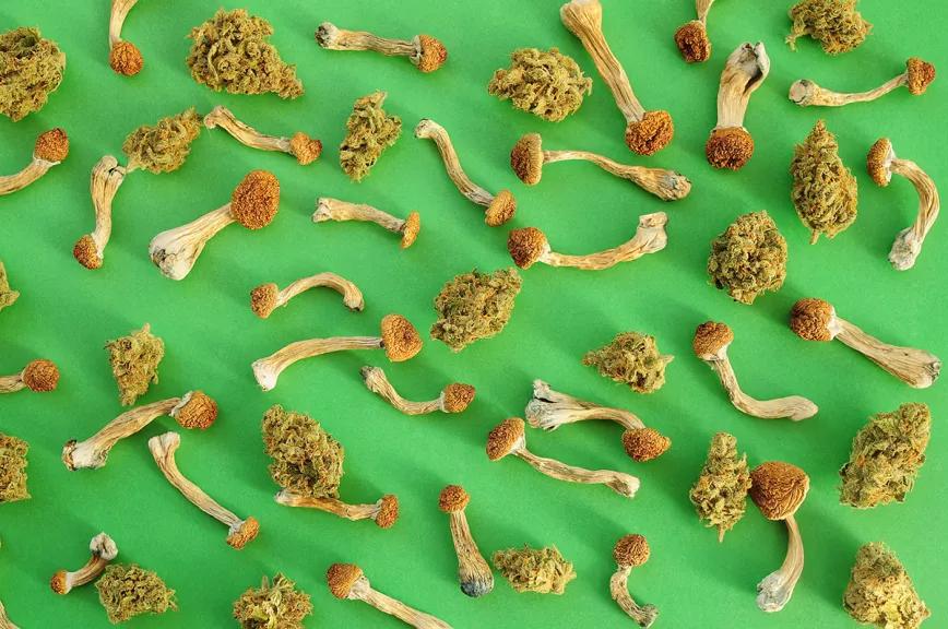 Una cuarta ciudad de Massachusetts se suma a la reforma de las drogas