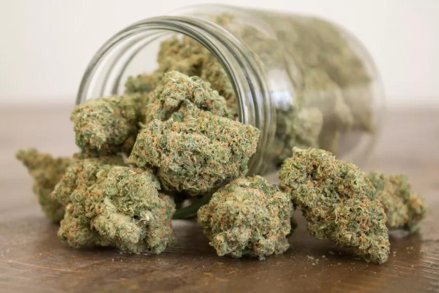 Un juez absuelve al propietario de una tienda de CBD intervenida por la policía