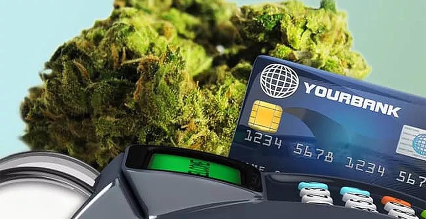 La Cámara de Representantes de EE UU aprueba proteger las operaciones bancarias del cannabis 