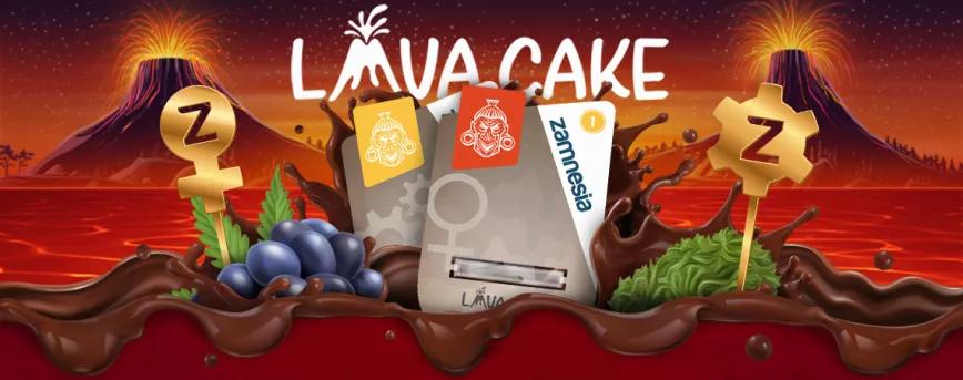 Análisis de la Lava Cake de Zamnesia Seeds