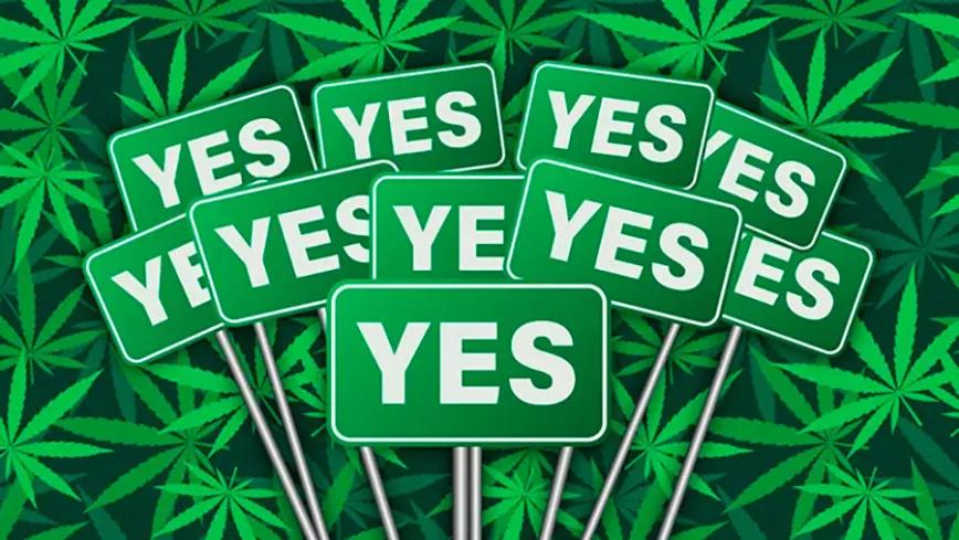 Austin, Texas, despenaliza el cannabis mediante referéndum