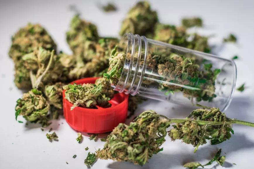 Cannabis sólo en hospitales y para tres condiciones médicas, propone el PSOE