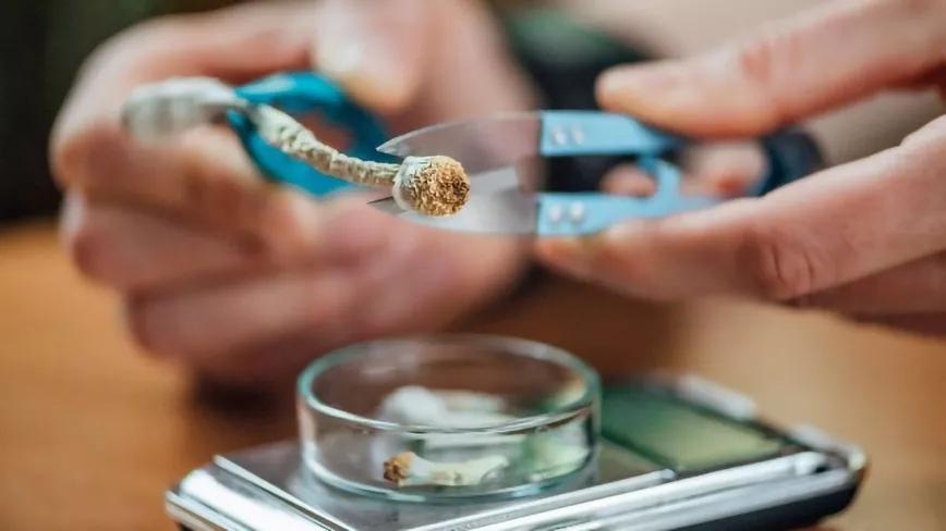 Las microdosis de psilocibina no proporcionan ningún beneficio según un estudio
