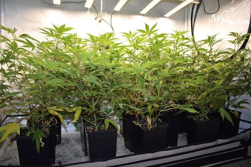 Mejora la producción del ‘indoor’