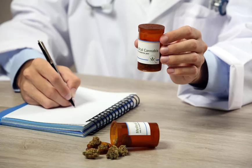Marruecos forma a sus sanitarios para la llegada del cannabis medicinal