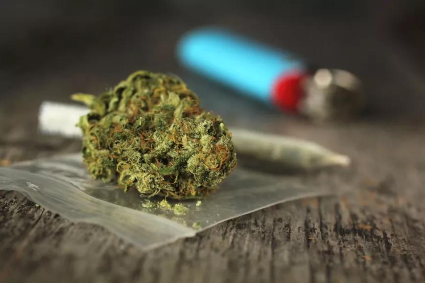 La ley para despenalizar el cannabis llega al parlamento de Irlanda