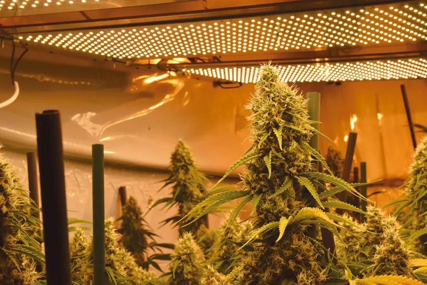 Conceptos clave en la iluminación con led del ‘indoor’