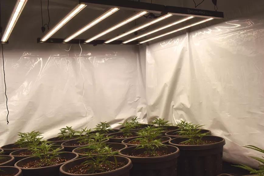 Conceptos clave en la iluminación con led del ‘indoor’