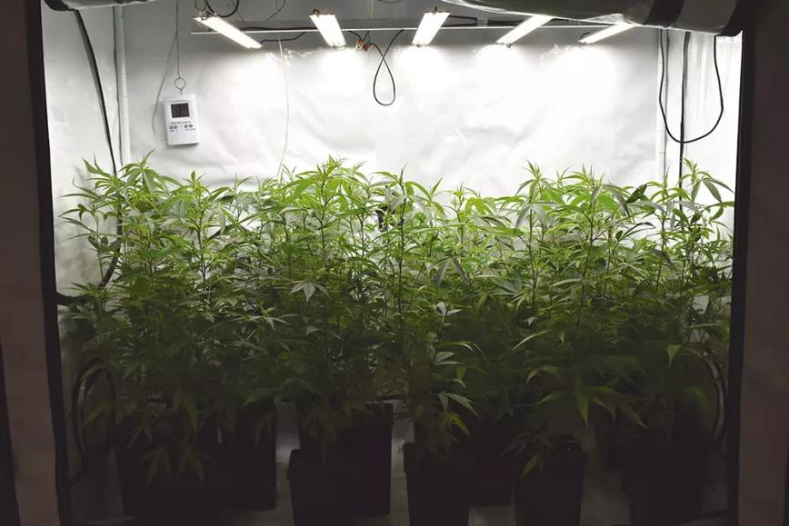 Conceptos clave en la iluminación con led del ‘indoor’