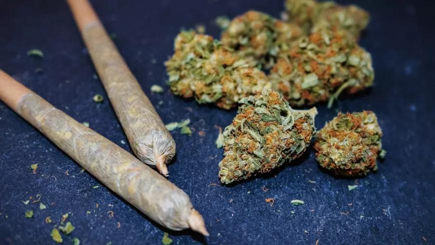 México permite a 4000 personas consumir cannabis legalmente