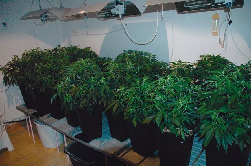 Un ‘indoor’ de bajo mantenimiento