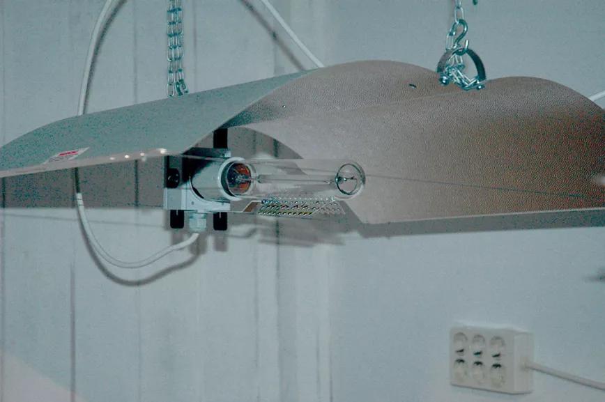 Se usaron lámparas HPS de 600 W.