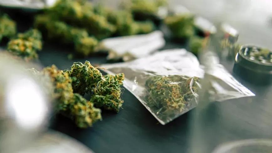 Alemania envía su ley del cannabis a la UE y confía en su aprobación 
