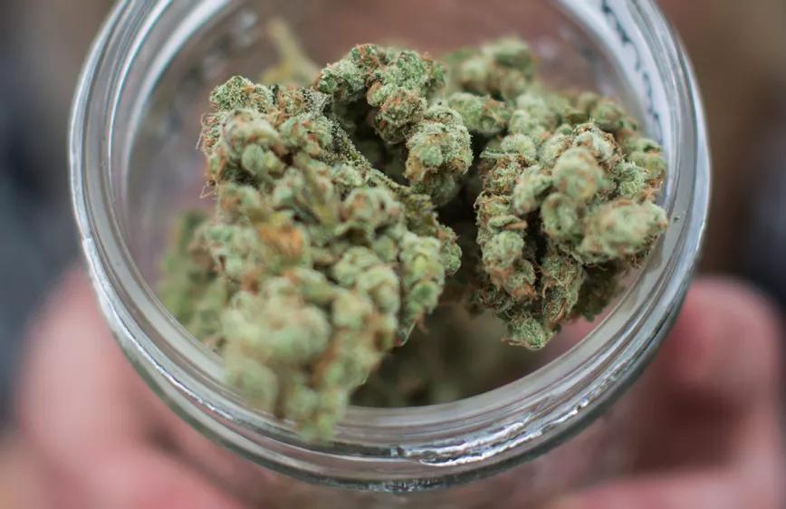 La autoridad del cannabis en Malta facilita la creación de grandes clubs